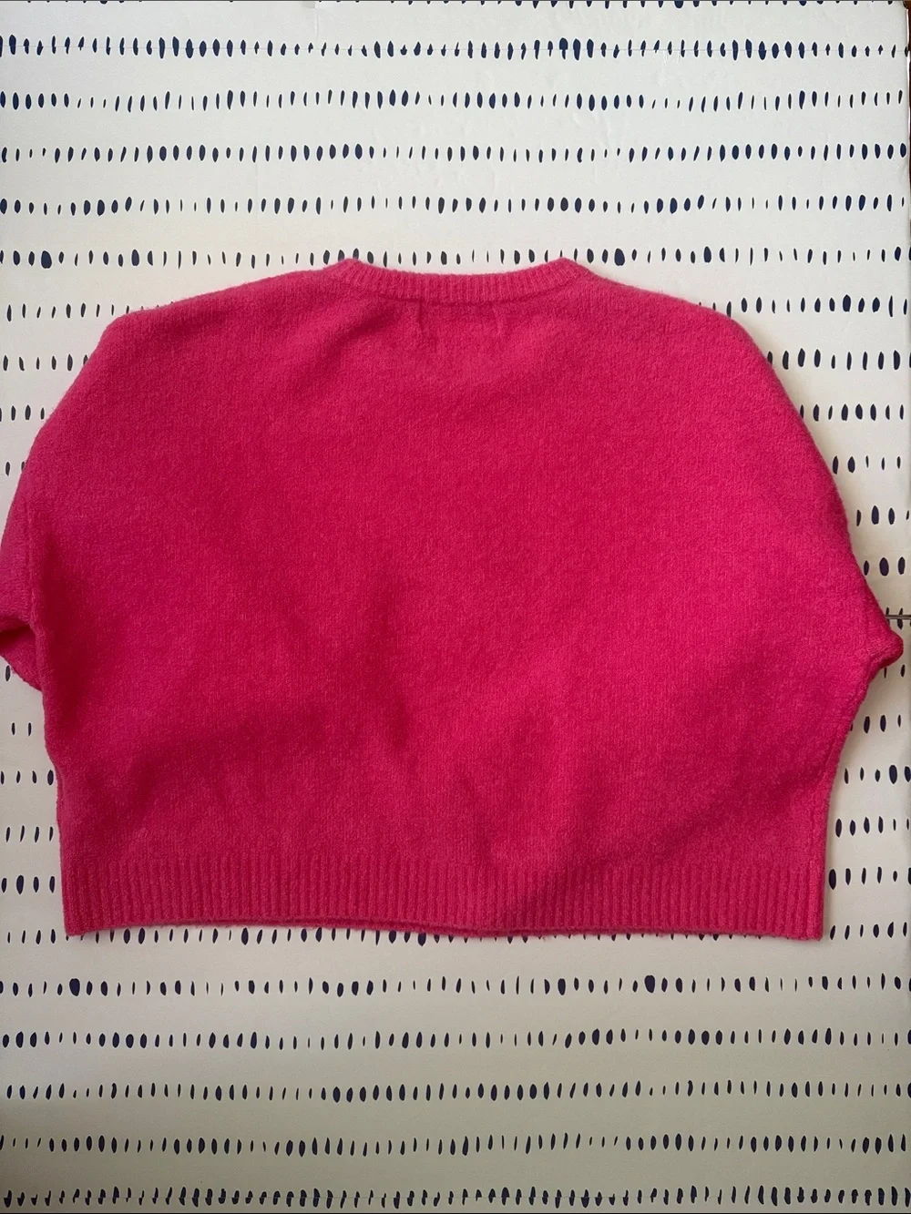 Colorush Amara Lobo Crewneck Cashmere Sweater in Pink